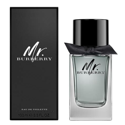 burberry classic man|mr Burberry for men.